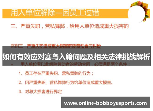 如何有效应对塞鸟入籍问题及相关法律挑战解析