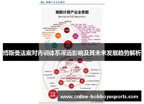 博斯曼法案对青训体系深远影响及其未来发展趋势解析