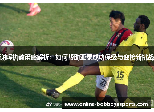 谢晖执教策略解析：如何帮助亚泰成功保级与迎接新挑战